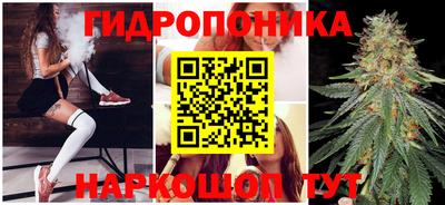 гашишное масло Кингисепп