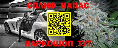 PSILOCYBIN Кинель