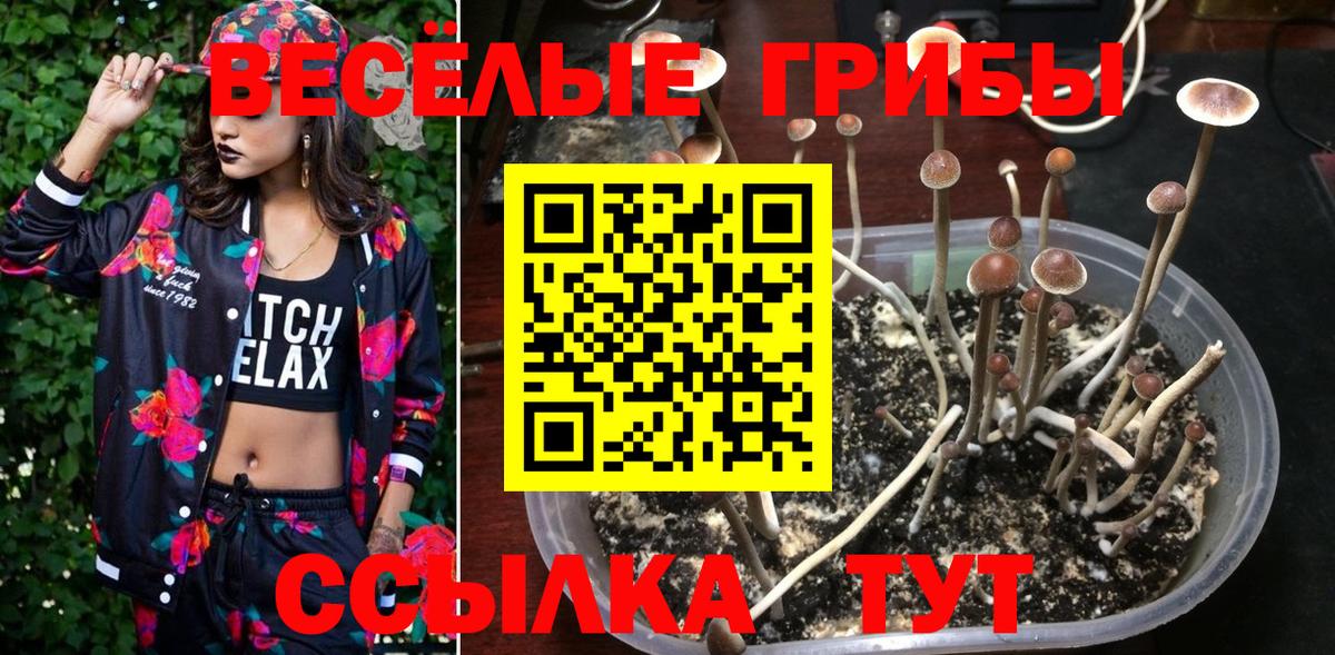 Псилоцибиновые грибы ЛСД Красноярск