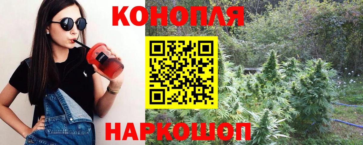 Бошки Шишки семена Красноярск